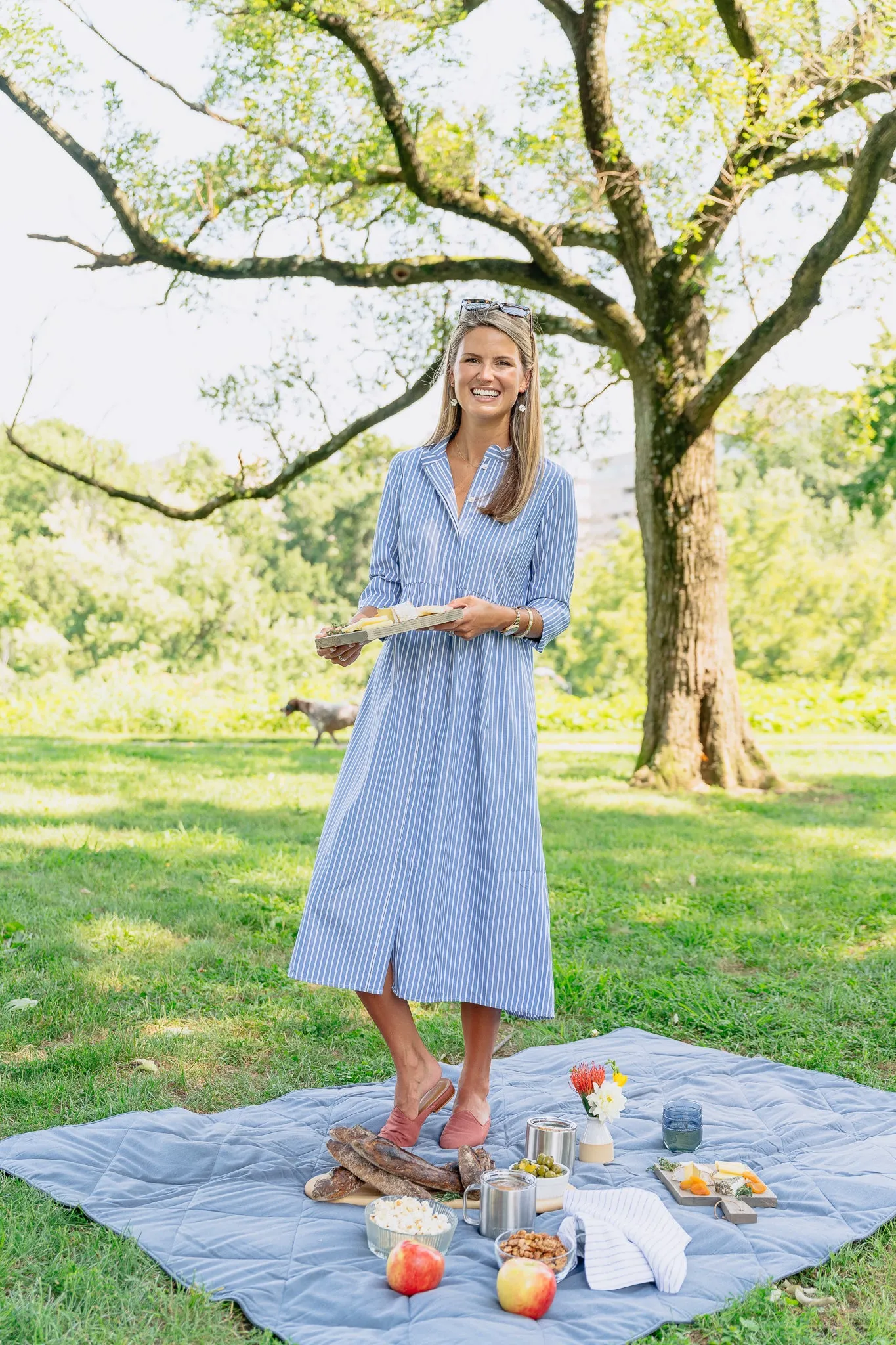 Chambray Stripe Midi Royal Shirt Dress